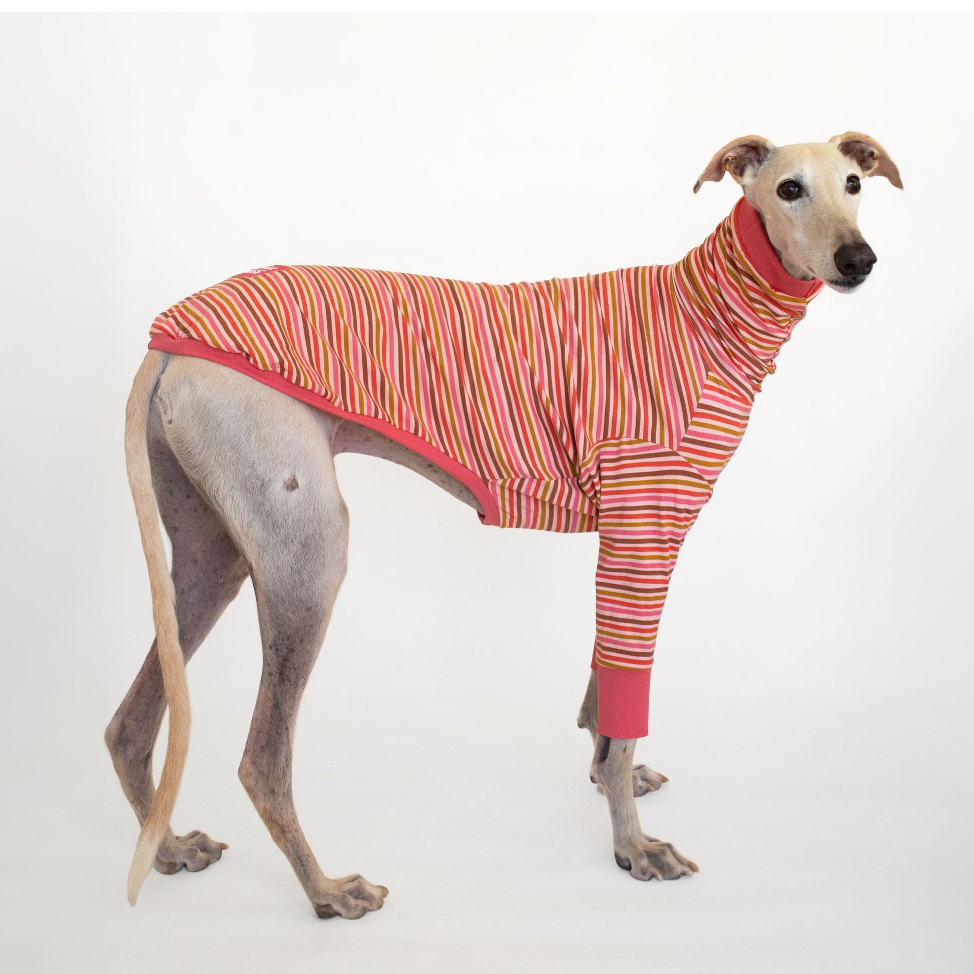 greyhound clothes long sleeve t shirt coral pink onda dogs
