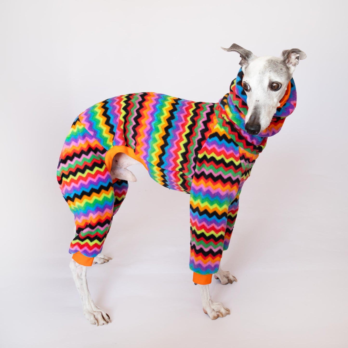 mono polar whippet aspen onda dogs