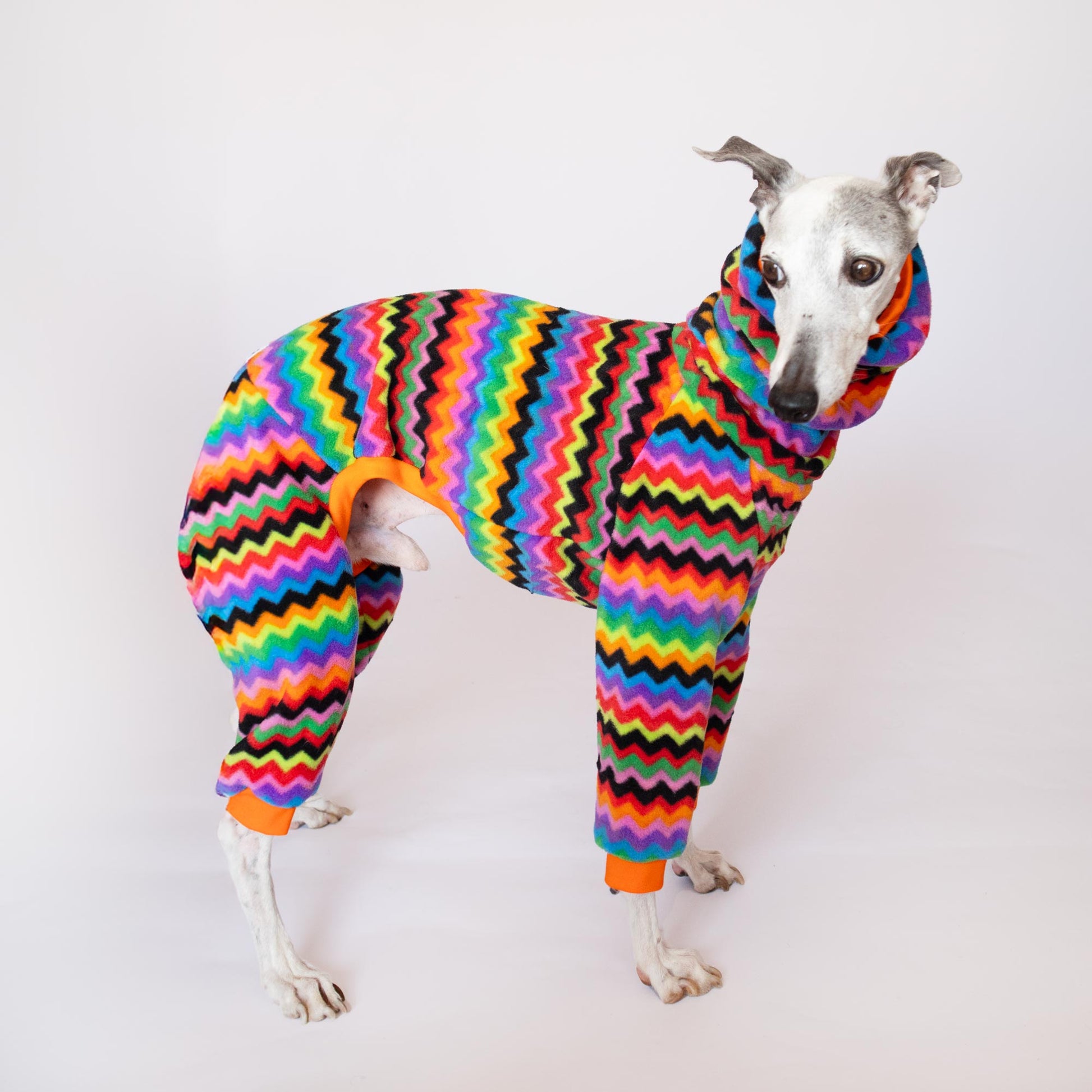 mono polar whippet aspen onda dogs