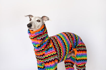 mono polar whippet aspen onda dogs