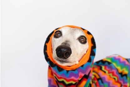 mono polar whippet aspen onda dogs