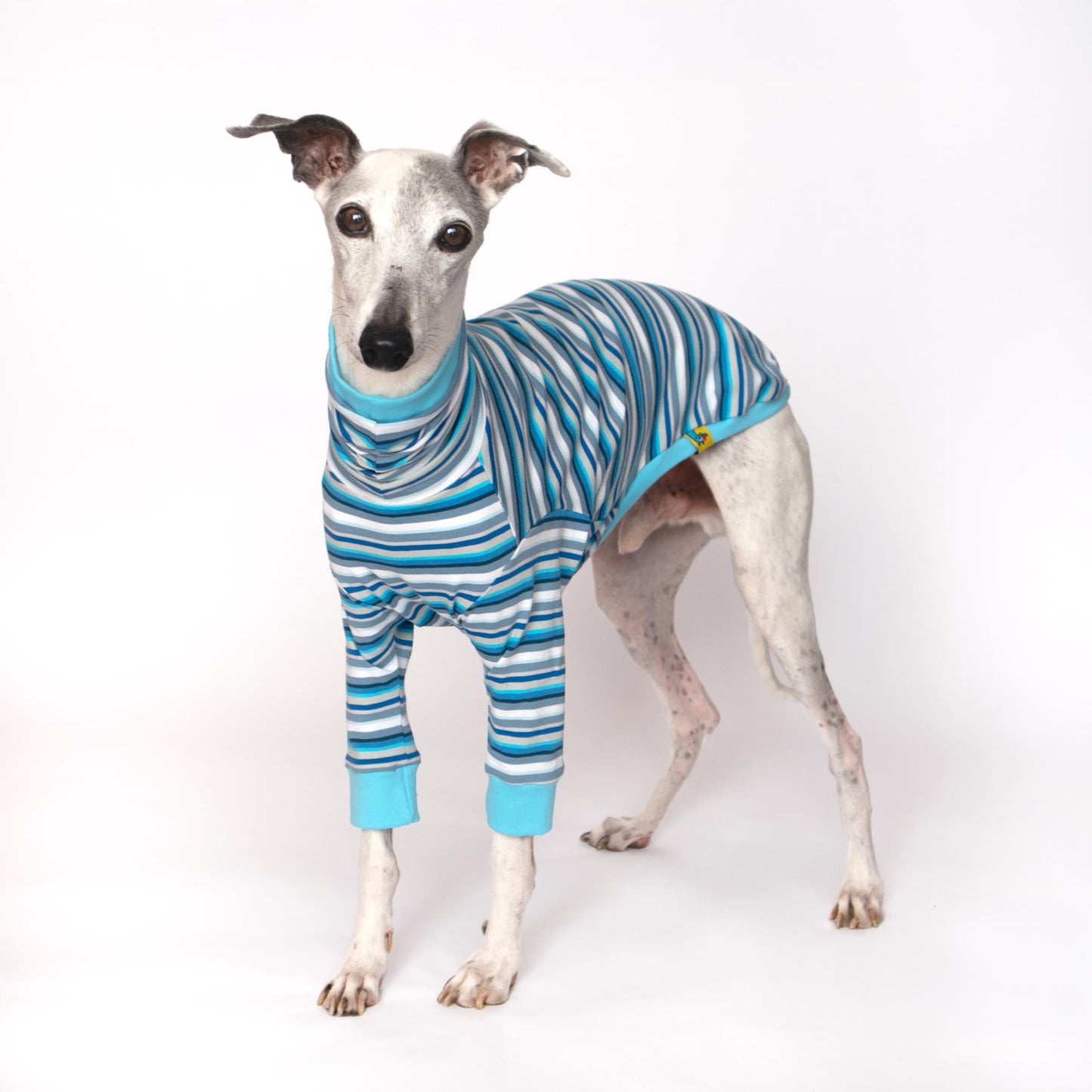 ropa para whippet celeste pijama onda dogs clothes for whippets pajama 