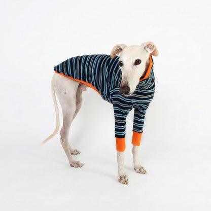 Ropa artesanal para galgos y whippets hecha a mano en Barcelona con tejido elástico.