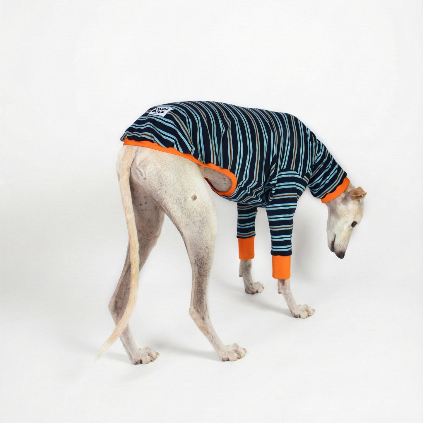 Detalle del cuello y pecho de la camiseta para galgo Domingo, ideal para pieles sensibles.