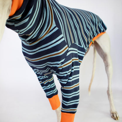 Camiseta de manga larga para galgo con costuras planas para evitar rozaduras en el pecho.