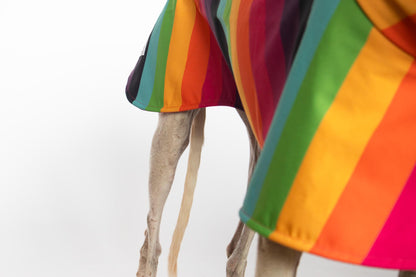 ondadogs chubasquero iris galgo