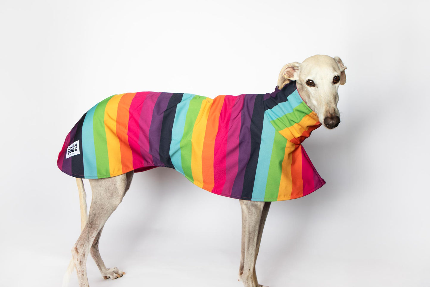ondadogs chubasquero iris galgo