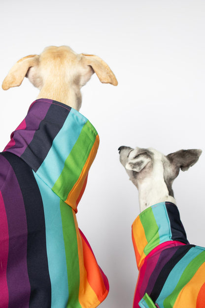 ondadogs chubasquero iris galgo