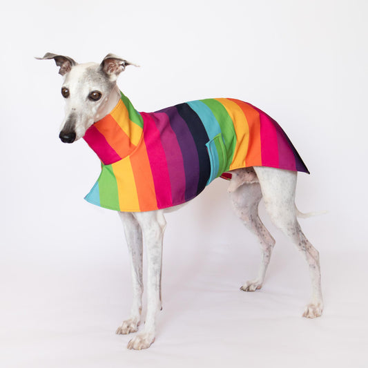 ondadogs chubasquero iris whippet