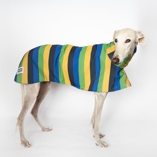 ondadogs chubasquero nimbus galgo
