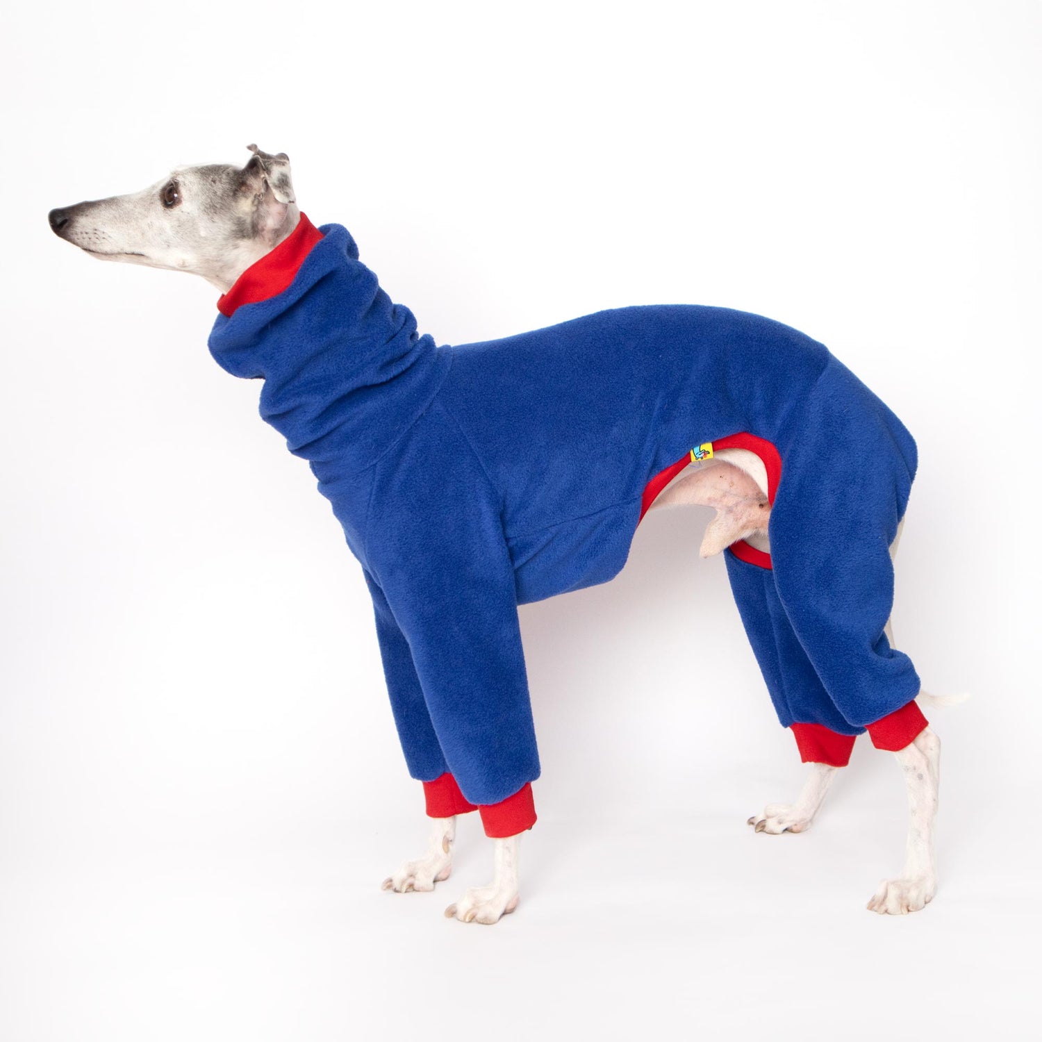 ropa galgo mono polar whippet azul onda dogs greyhound clothes fleece for whippets