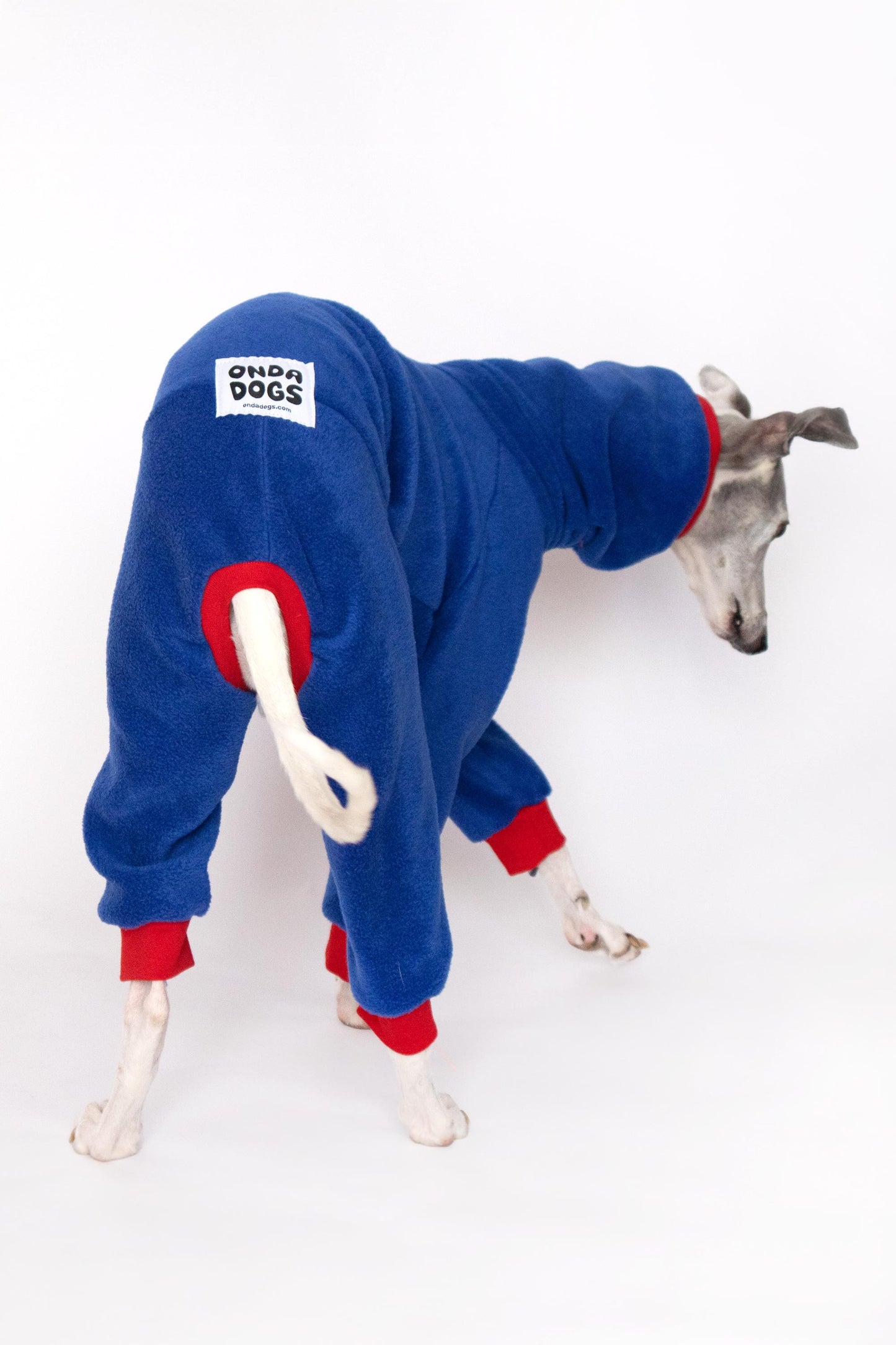 ropa galgo mono polar whippet azul onda dogs greyhound clothes fleece for whippets