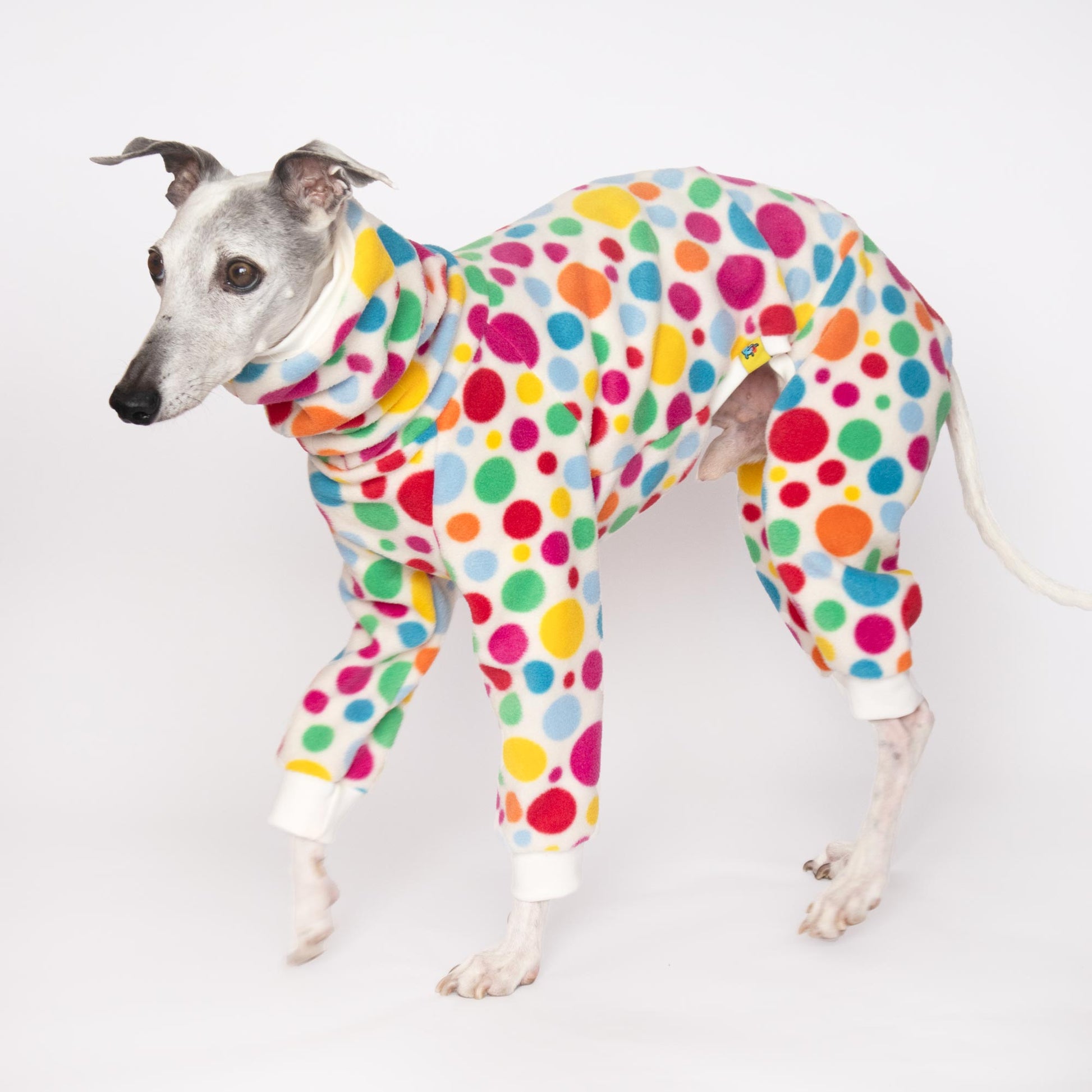 ropa galgo mono polar whippet polar confeti onda dogs greyhound clothes fleece for whippets
