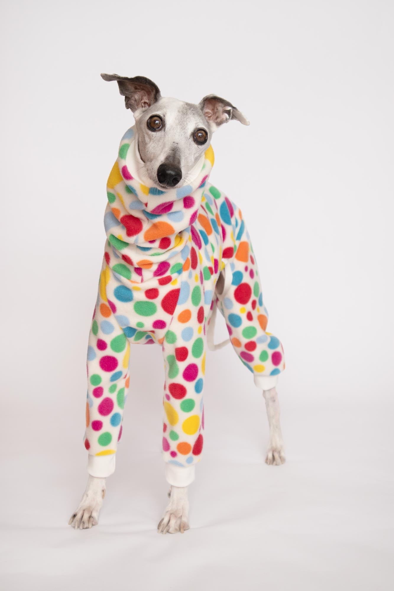 ropa galgo mono polar whippet polar confeti onda dogs greyhound clothes fleece for whippets