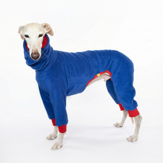 Galgo de pie luciendo un polar azul artesanal con detalles rojos de Onda Dogs, vista lateral de cuerpo completo.