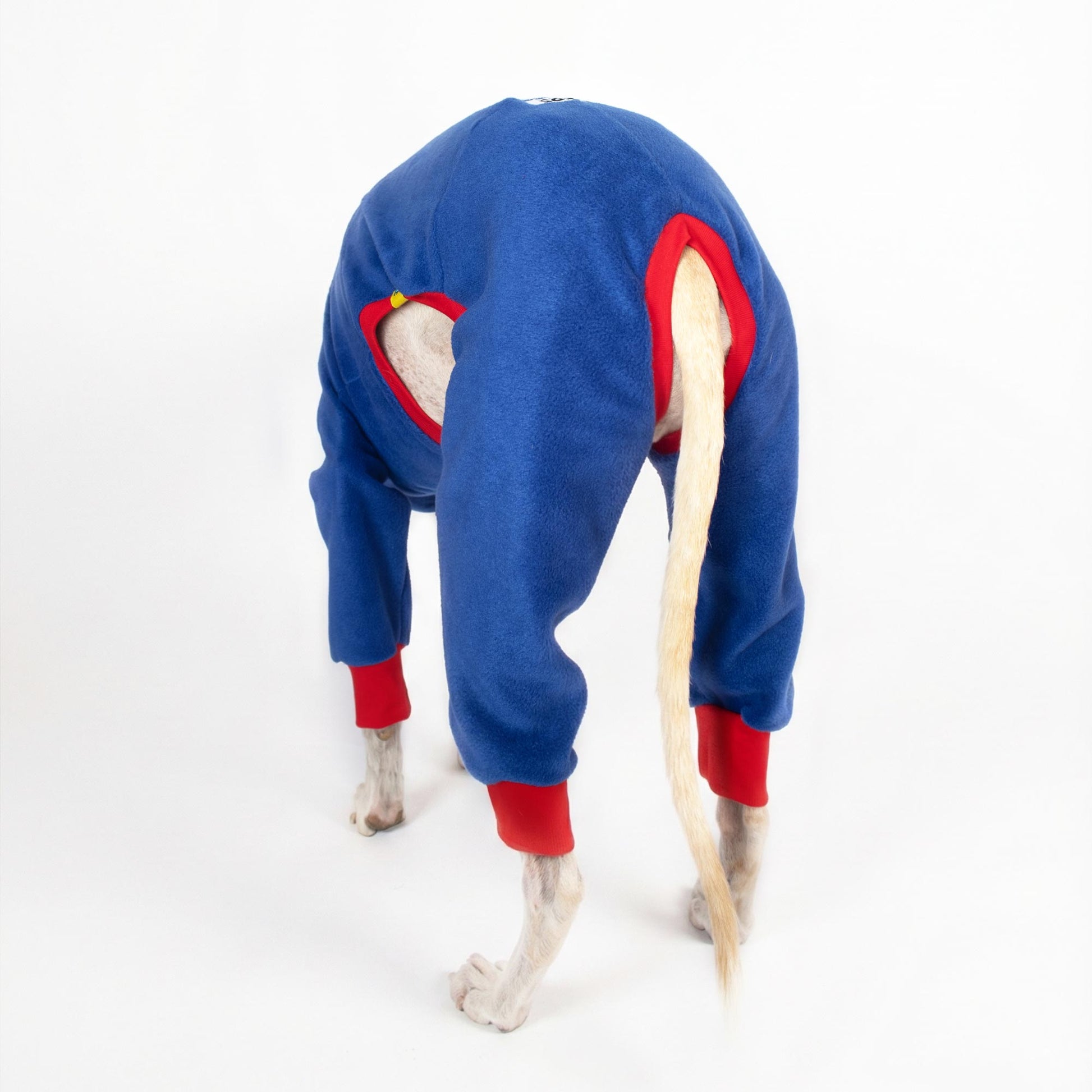 Vista de un galgo con abrigo polar azul hecho a mano, diseñado para ofrecer total libertad de movimiento en el exterior.