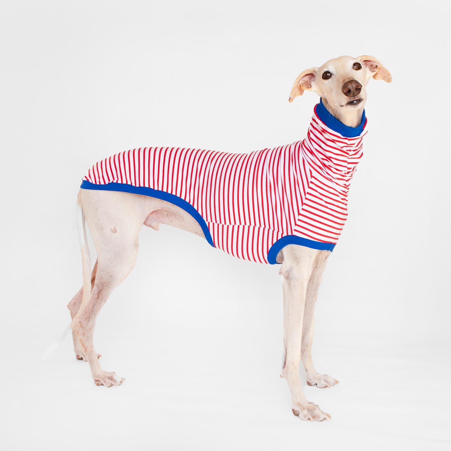 ropa galgo camisa manga corta marinero rojo onda dogs greyhound clothes