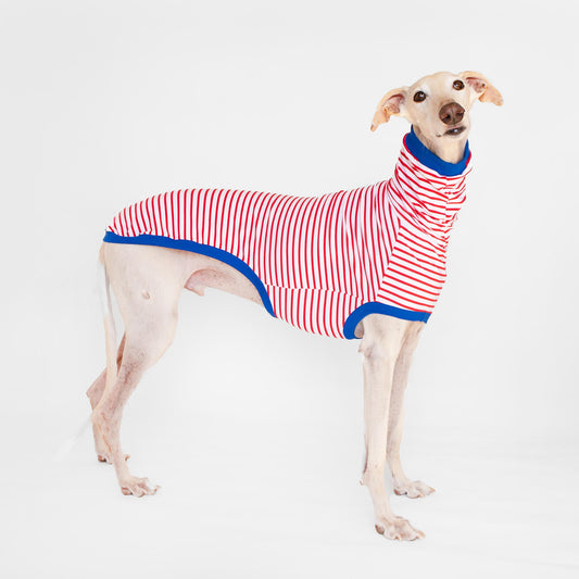 ropa galgo camisa manga corta marinero rojo onda dogs greyhound clothes