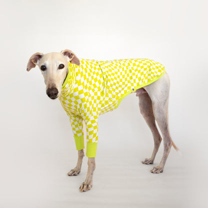 ropa galgo camiseta manga corta lima-limon onda dogs greyhound clothes