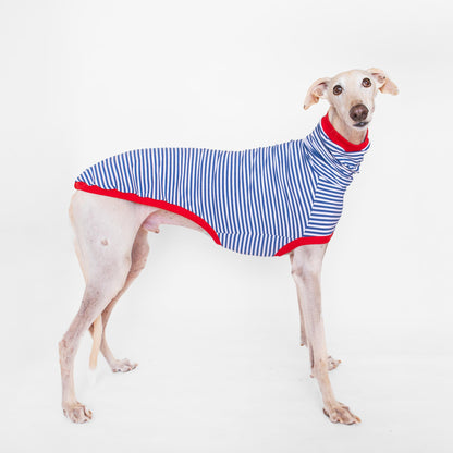 ropa galgo camiseta manga corta marinero azul onda dogs greyhound clothes