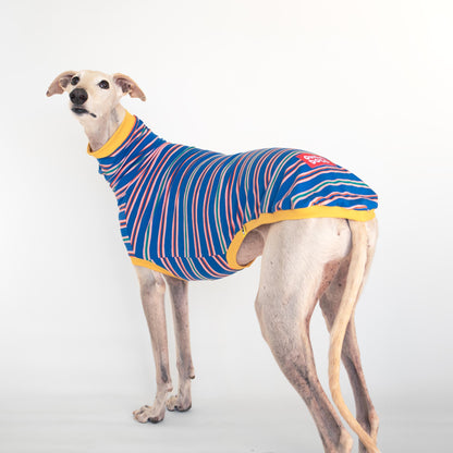ropa galgo camiseta manga corta solar pop onda dogs greyhound clothes
