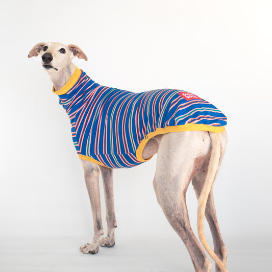 ropa galgo camiseta manga corta solar pop onda dogs greyhound clothes