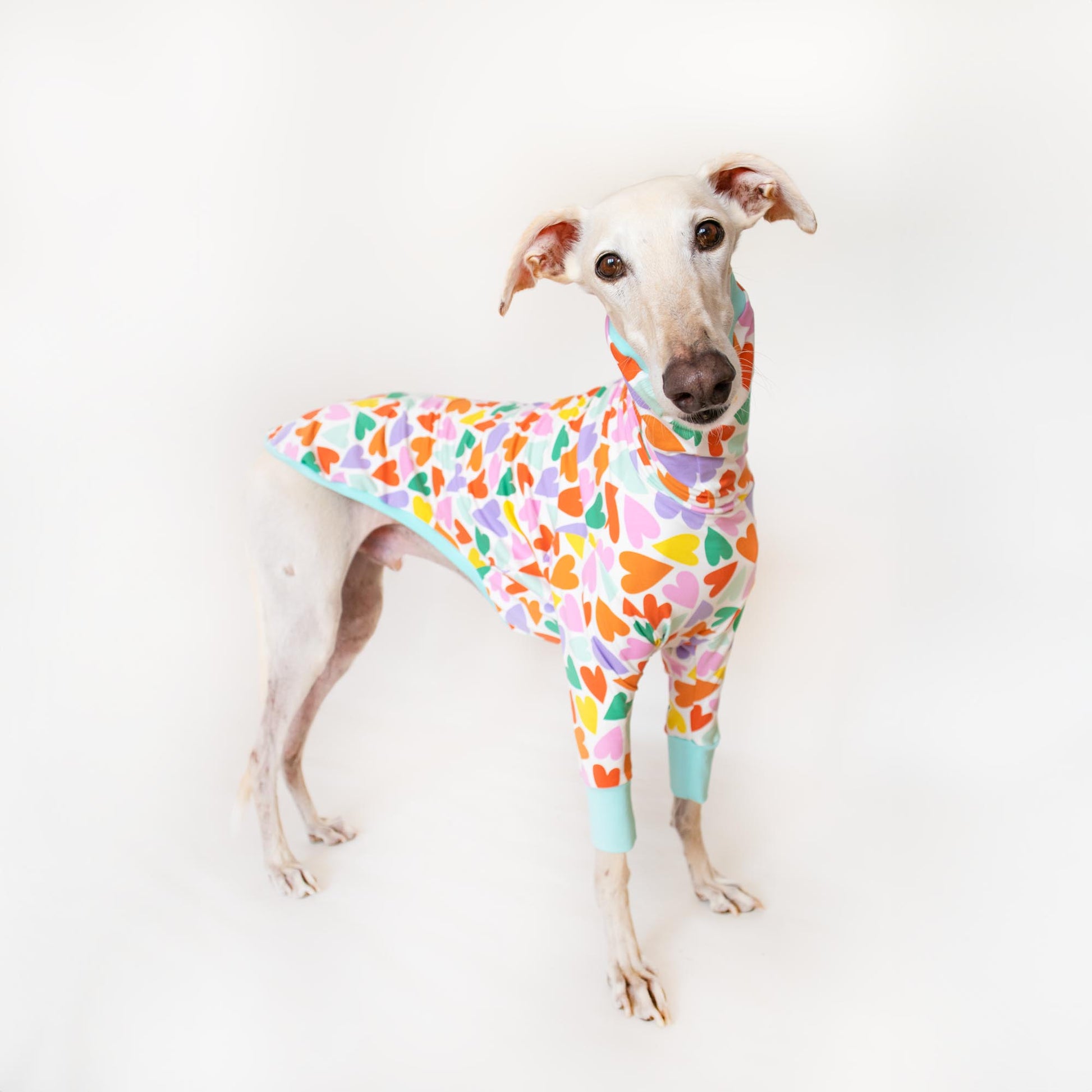 ropa galgo camiseta manga larga corazones multicolor onda dogs greyhound clothes