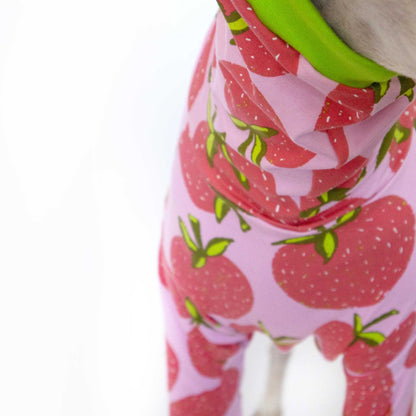 Detalle de la ropa Fresa para galgos, con estampado de fresas rosas y ribete verde lima