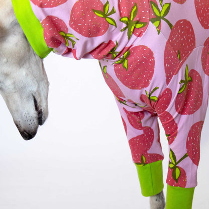 Primer plano de la ropa Fresa para galgos, mostrando el ajuste en el pecho y las mangas largas