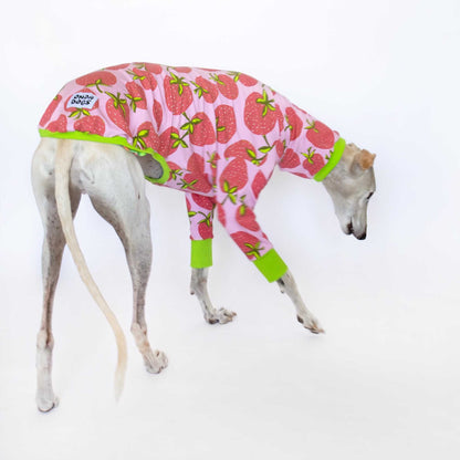 Galgo color crema de perfil con ropa Fresa de manga larga, estampado de fresas y puños verdes