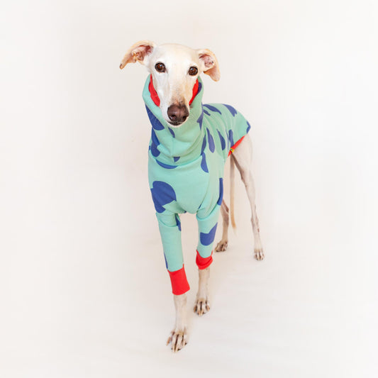 ropa galgo sudadera manga larga corazones verde onda dogs greyhound clothes