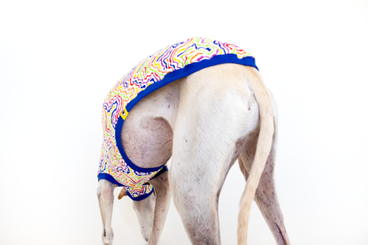 ropa para galgo camiseta manga corta arcoiris electrico onda dogs