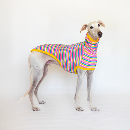 ropa para galgo camiseta manga corta chicle onda dogs