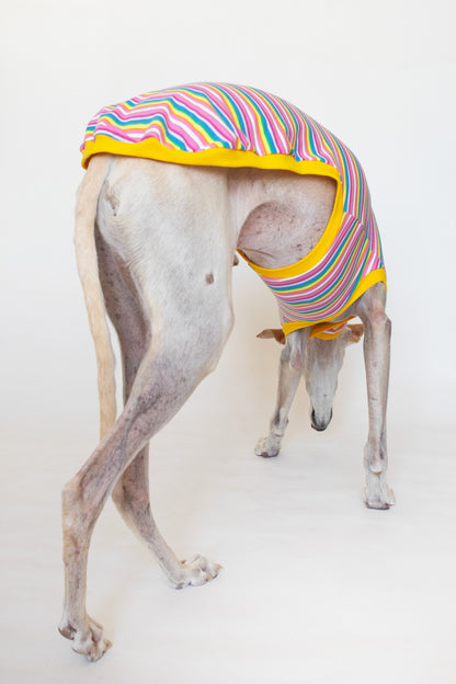 ropa para galgo camiseta manga corta chicle onda dogs