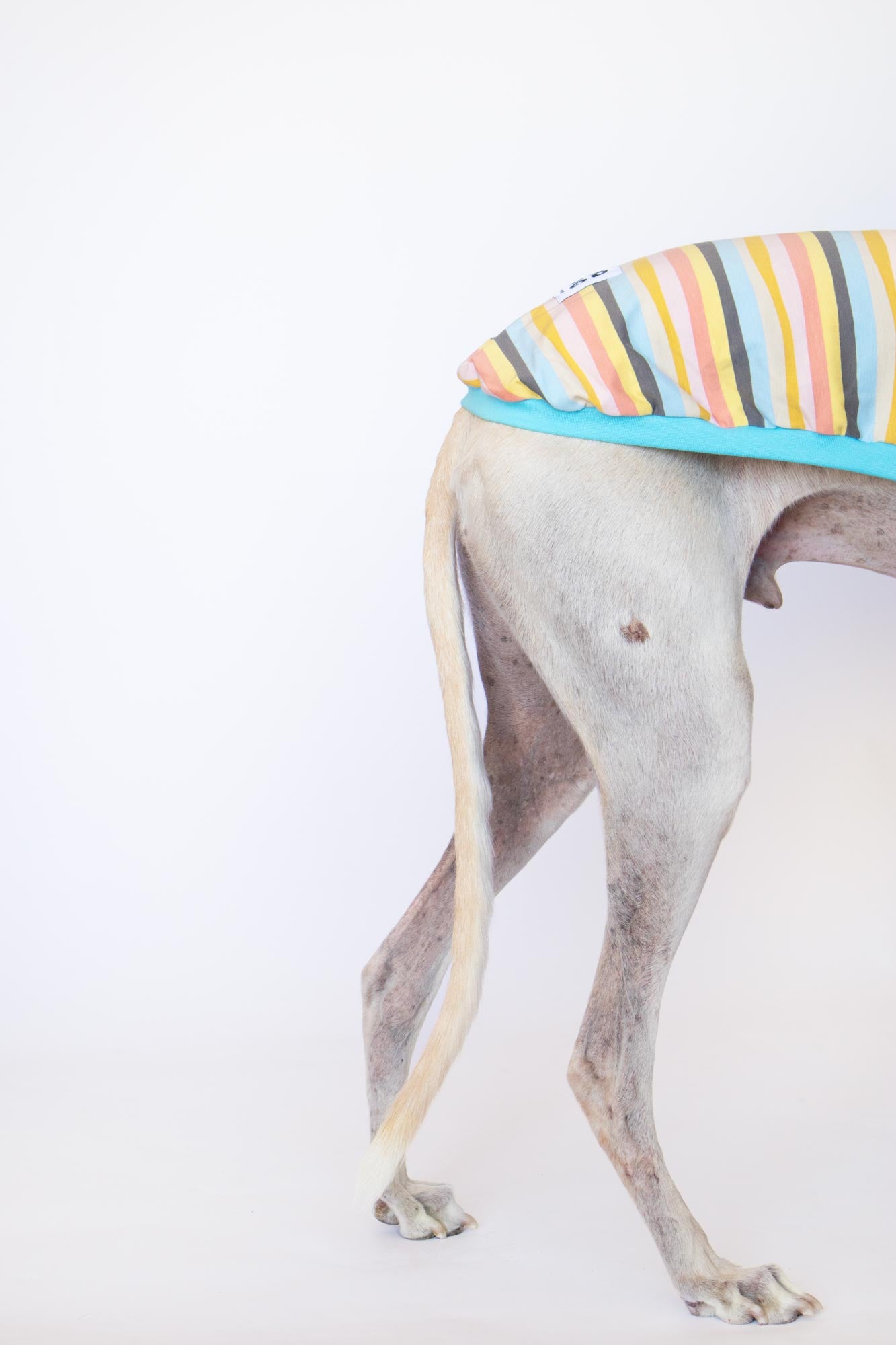 Sleeveless Shirt Kawaii - Greyhound