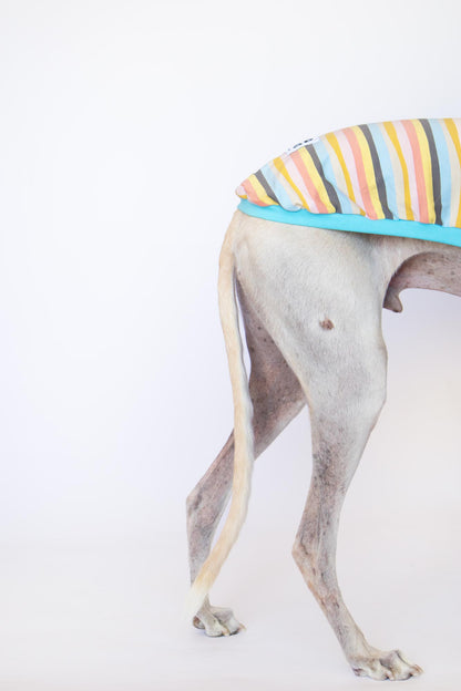 Sleeveless Shirt Kawaii - Greyhound