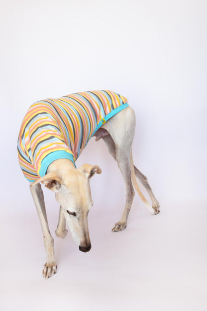 Sleeveless Shirt Kawaii - Greyhound