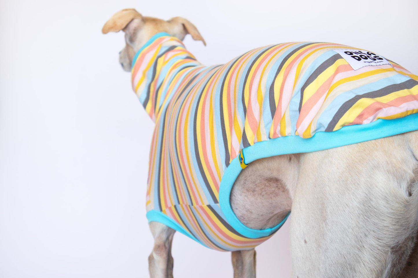 Sleeveless Shirt Kawaii - Greyhound