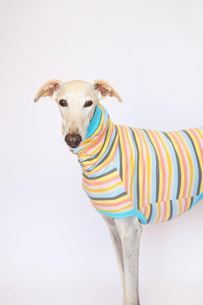 Sleeveless Shirt Kawaii - Greyhound