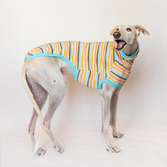 Sleeveless Shirt Kawaii - Greyhound