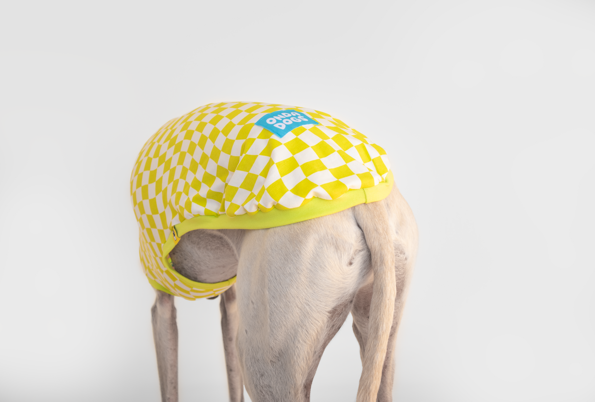 ropa para galgo camiseta manga corta lima limon onda dogs