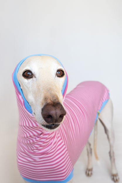 ropa para galgo camiseta manga corta malibu onda dogs