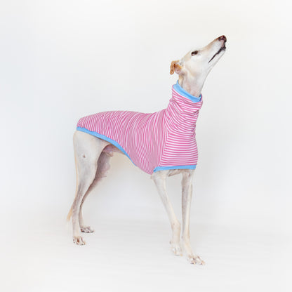 ropa para galgo camiseta manga corta malibu onda dogs
