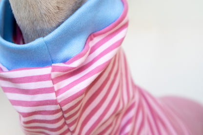 ropa para galgo camiseta manga corta malibu onda dogs