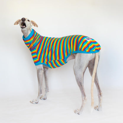 Short-sleeved T-shirt - Pitufa Rainbow