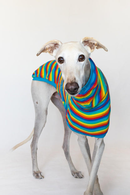 Short-sleeved T-shirt - Pitufa Rainbow