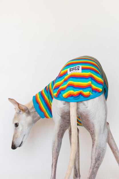 Short-sleeved T-shirt - Pitufa Rainbow