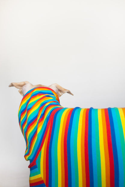 Short-sleeved T-shirt - Pitufa Rainbow