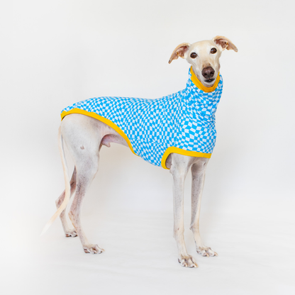 ropa para galgo camiseta manga corta pixel onda dogs