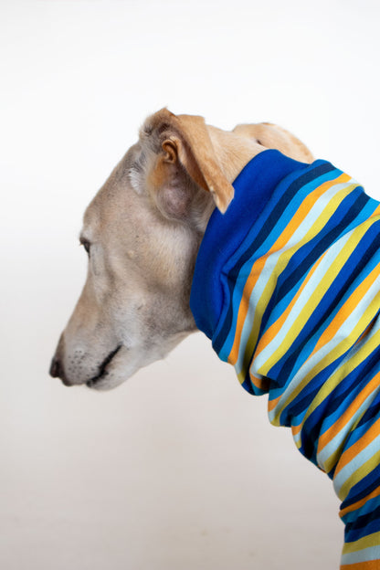 ropa para galgo camiseta manga corta voltio onda dogs